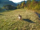 02 Dori corre sul prato